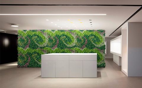 Office Reception 3D Wall Coverings