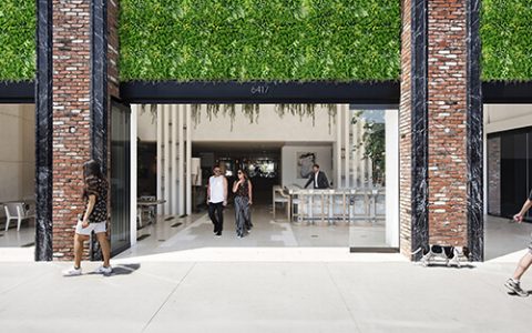 Retail Exterior Facade Green Wall Installation