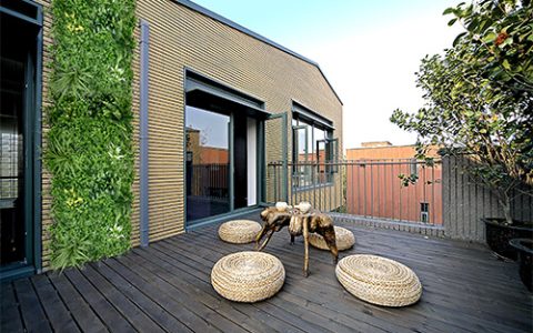 Rooftop Terrace Green Wall Installation in Barcelona, Spain