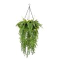 Black Framed Roof Hanging Disc With Soft Draping Leaves