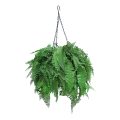 Artificial Hanging Persian Fern Basket with Dense Foliage