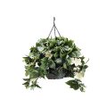 Artificial Hanging Basket with Trailing Scindapsus and Azalea Blooms