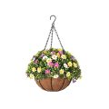Artificial Hanging Flower Basket with Mixed Aptenia and Daisy