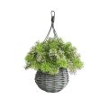 Artificial Hanging Greenery Basket with Houttuynia Cordata