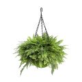 Artificial Hanging Fern Basket with Layered Greenery