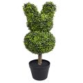 Artificial Bunny-Shaped Topiary Tree