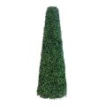 Pyramid Cone Topiary Tree