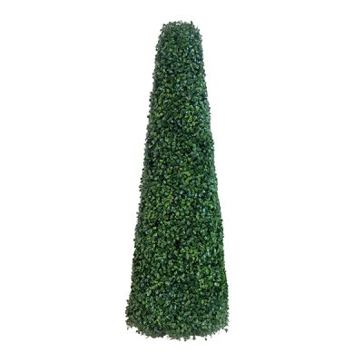 Pyramid Cone Topiary Tree