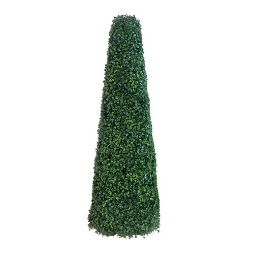 Uncategorized Pyramid Cone Topiary Tree
