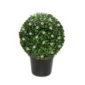 Artificial Boxwood & Jasmine Topiary Tree
