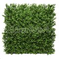 Realistic Artificial Aptenia Grass Wall Panel