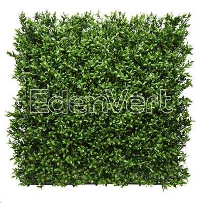 Realistic Artificial Aptenia Grass Wall Panel
