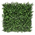Premium Natural Buxus Hedge Panel