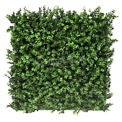 Premium Natural Buxus Hedge Panel