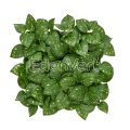 Realistic Artificial Money Plant Leaf Panel