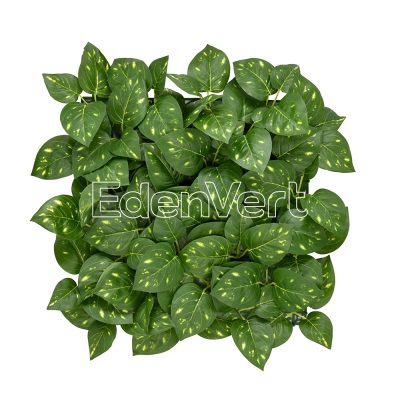 Realistic Artificial Money Plant Leaf Panel