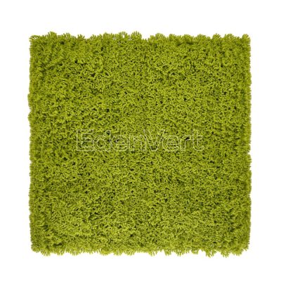 Realistic Artificial Moss Wall Panel