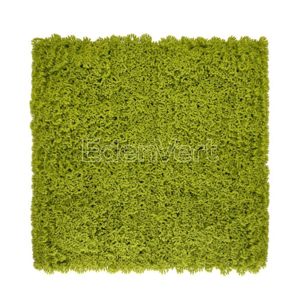 Realistic Artificial Moss Wall Panel
