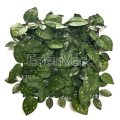 Artificial Scindapsus and Rose Leaf Mixed Wall