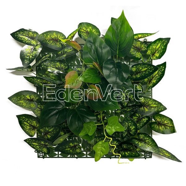 Premium Artificial Caladium Mix Living Wall