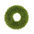 Outdoor Winter Evergreen Wreath