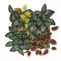 Tropical Colorful Faux Foliage Panel