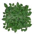 Artificial Rose Leaf Wall Panel