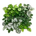 Multi-Layer Faux Greenery Mat