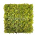 3D Textured Artificial Moss Wall Covering