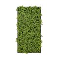 Decorative Framed Plant Wall Art