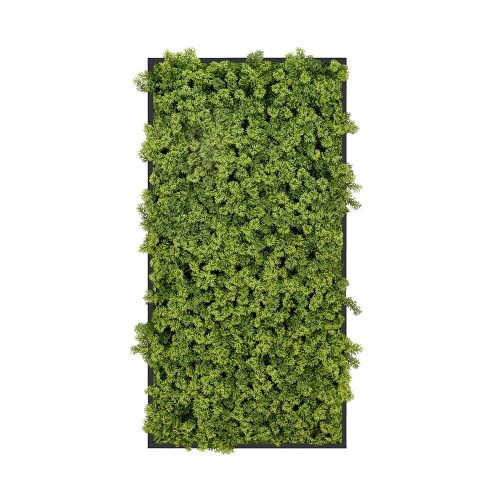 Uncategorized Decorative Framed Plant Wall Art