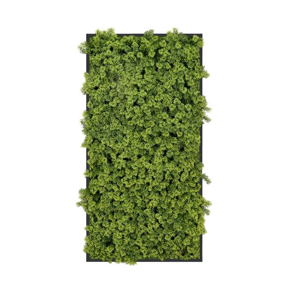 Decorative Framed Plant Wall Art