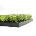 Decorative Framed Plant Wall Art