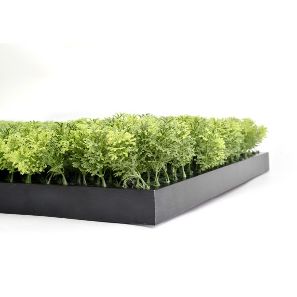 Decorative Framed Plant Wall Art