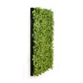 Decorative Framed Plant Wall Art