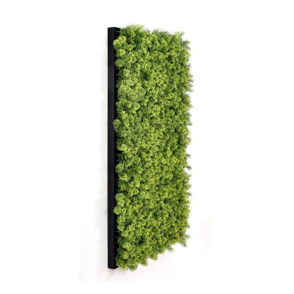 Decorative Framed Plant Wall Art