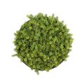 Decorative Greenery Wall Disc