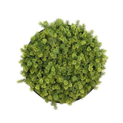 Decorative Greenery Wall Disc