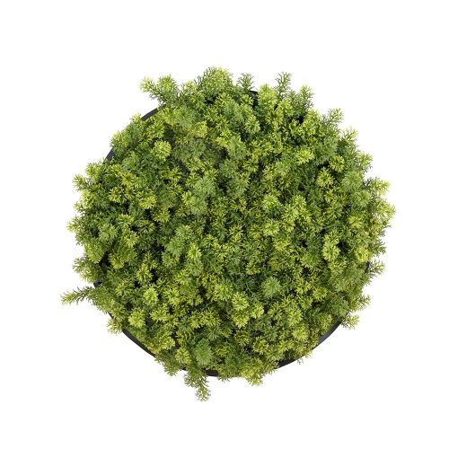  Decorative Greenery Wall Disc