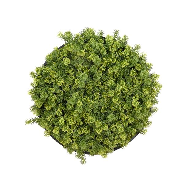 Decorative Greenery Wall Disc