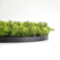 Decorative Greenery Wall Disc