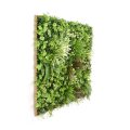 Nature-Inspired Artificial Wall Art