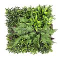 Wonderland Artificial Vertical Garden
