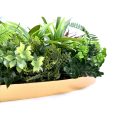 Decorative Artificial Green Wall Disc