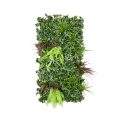 Aoki Artificial Greenery Panel