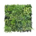 Emerald Valley Artificial Green Wall