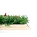 Christmas Greenery Wall Frame