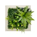 Framed Greenery Wall Art