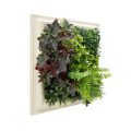 Framed Faux Greenery Decor