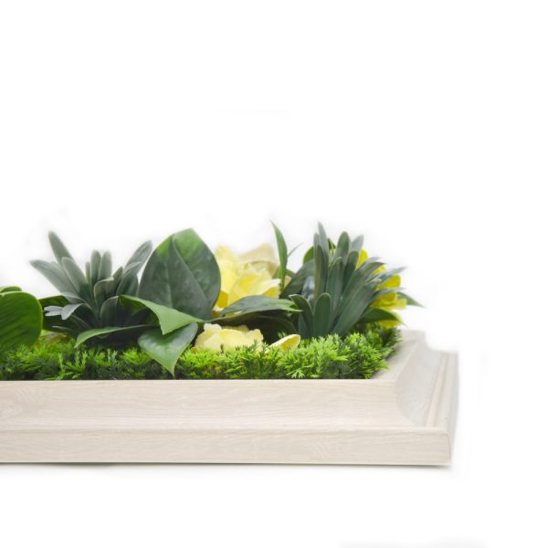 Botanical Green Wall Frame